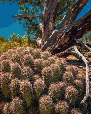 Cactus and tree poster